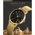 skmei 1530 elegance quartz watch with japan movt  gold bezel sr626sw